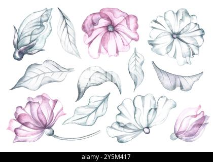 A set with delicate pink and white flowers and leaves. The transparent petals of the flower are made in watercolor. The illustrations are made by hand Stock Photo