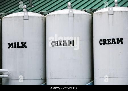 Giant bulk containers of Milk, Cream and Sugar feeding the production line at Ben & Jerry’s Ice Cream company in Waterbury, Vermont. Stock Photo