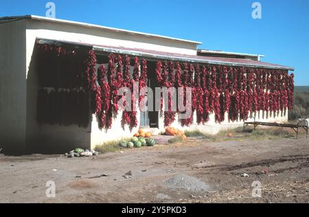 Chile Peppers hanging on side of building. Stock Photo