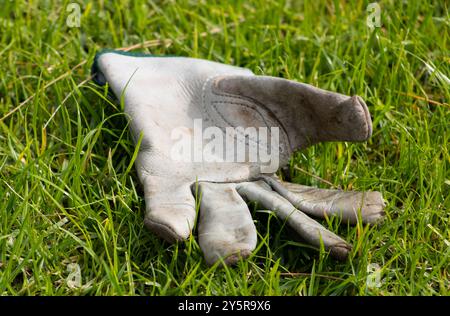 white leather gardening glove on the ground Stock Photo