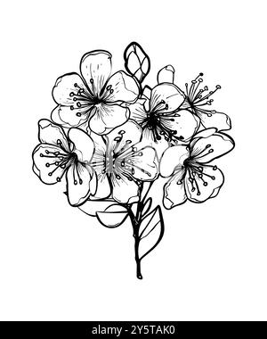 Blossoming branch of sakura, apple tree, peach. Realistic line drawing of beautiful flowers with buds and leaves for logo, wedding design. Vector illu Stock Vector