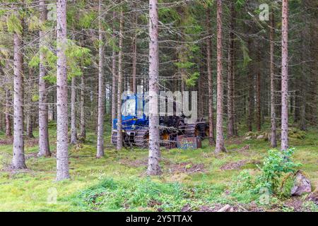 Forwarder in a spruce forest Stock Photo