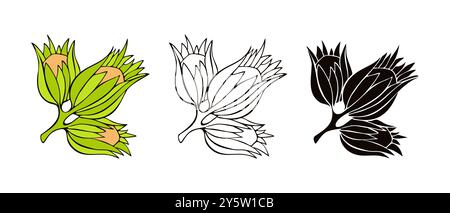 Hazelnuts icon set, stylized hand drawn in contour and silhouette, isolated on white background. Vector illustration Stock Vector