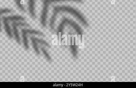 Mock up with soft light and blurred shadows from leaves Stock Vector