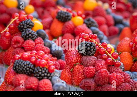 Baskets with fresh juicy berries on street market. Berries background (raspberry, blueberry, strawberry, red currant, blackberry, golden berry). Stock Photo
