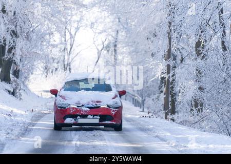 Car on a winter road through a snow covered forest. Stock Photo