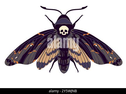 Vector flying butterfly. Hawk moth Dead head . Symbol of mysticism, occultism, magic. Colored moth on a white background. Stock Vector