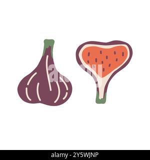 Whole and sliced figs, cute hand drawn seasonal objects. Vector illustration in flat style Stock Vector