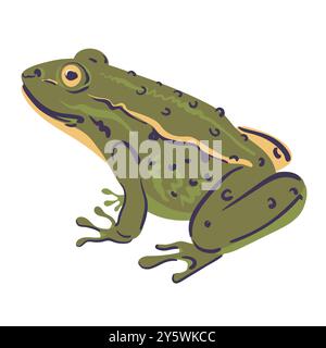 Green European frog with spotted skin. Pelophylax ridibundus on white background. Flat graphic vector illustration of marsh toad. Stock Vector