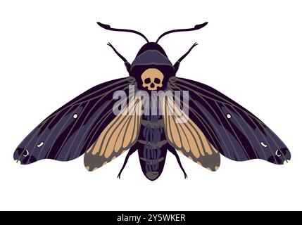 Vector flying butterfly. Hawk moth Dead head . Symbol of mysticism, occultism, magic. Colored moth on a white background. Stock Vector