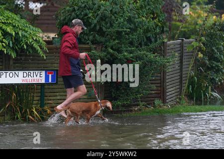 A man walks his dog on a flooded road in Frampton Drive, in Willersley village, Gloucestershire. An amber weather warning for heavy rain has come into force in parts of England, with the Met Office warning that affected areas could experience more than a month's worth of rain falling on Monday. Picture date: Monday September 23, 2024. Stock Photo