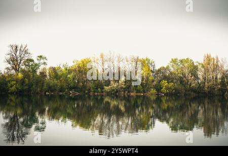 Island in a lake on a dreary gray spring day, different green and yellow tones, beautiful reflections Stock Photo