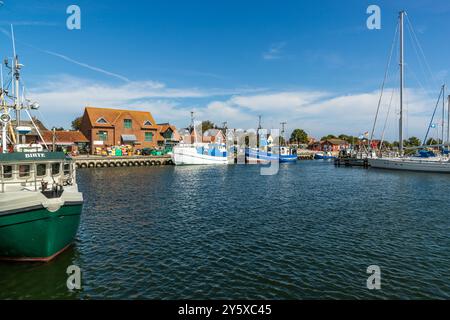 Fishing cutters, among them the "Birte", lie moored in the harbour of Kappeln in front of the brick harbourfront. Schleswig-Holstein, Germany. Stock Photo