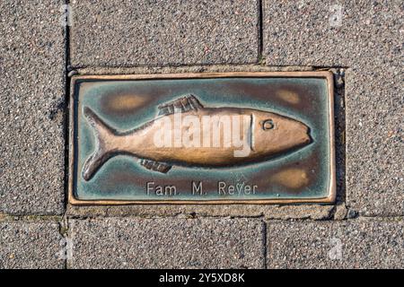 A brass herring stone bearing the name "Fam. M. Reyer" is set into the pavement of Kappeln's pedestrian zone. Citizens could have themselves immortalised this way in return for a donation. The Rotary Club campaign ended after a passer-by slipped on one of the stones. Schleswig-Holstein, Germany. Stock Photo