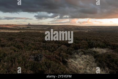North Yorkshire Moors National Park with heather and grasses under a setting sun at dusk under a heavy clouded sky at dusk. Goathland, UK. Stock Photo