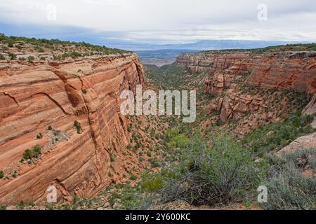 View down Red Canyon from rim of Colorado National Monument Stock Photo