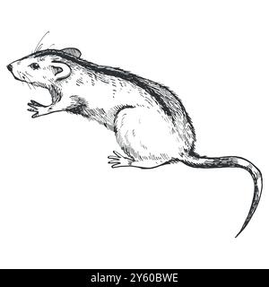 Field mouse, rat with a dark stripe on the back and a long tail. The illustration is drawn with a dark liner for Halloween. Stock Vector