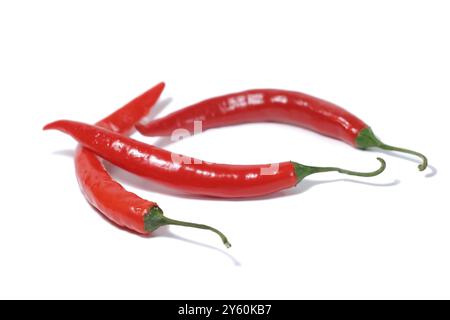 Three chilli peppers, chilli peppers, cut out, hot, spicy, plant, vegetable, herb, Manitoba, Canada, USA, North America Stock Photo