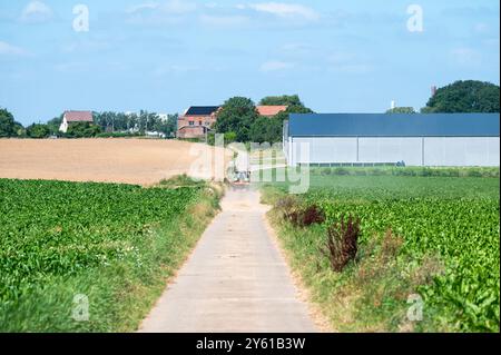 Tractor combine driving through dusty road at the Walloon countryside around, Oreye, Wallonia, Belgium Stock Photo