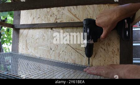 hands holding a screwdriver screwing fasteners into the structure of a cage for domestic quails or small animals, installing mesh Stock Photo