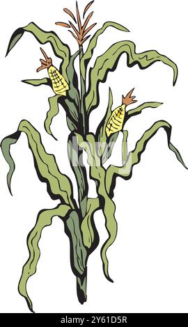 corn haystack in rectangular bundle with ropes, countryside farm agriculture haystack vector illustration Stock Vector