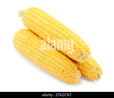 Three fresh ripe corncobs isolated on white Stock Photo