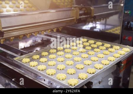 Close up of automated biscuit cookies shape forming machine on a conveyor belt with cookie dough, biscuit. Food Stock Photo