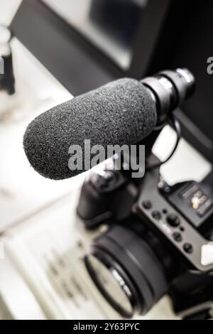 Mirrorless camera rig with covered microphone condenser attached for video recording Stock Photo