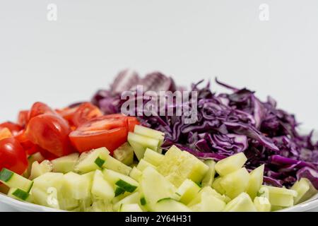 A bowl of vegetables including tomatoes, cucumbers, and cabbage. The vegetables are cut into small pieces and arranged in a colorful and appetizing ma Stock Photo