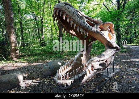 A massive dinosaur skull displayed in a lush forest environment, capturing the grandeur and mystery of prehistoric life under bright sunlight. Stock Photo