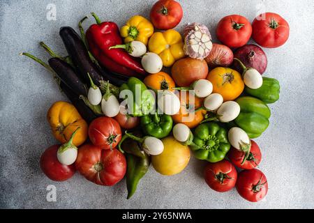 A vibrant arrangement of fresh vegetables including tomatoes, bell peppers, eggplants, and onions artfully displayed on a textured gray surface Stock Photo