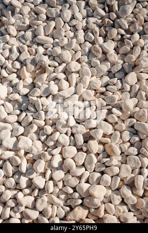 Detailed close-up of numerous smooth white pebbles scattered on the ground, showcasing texture and natural shapes. Stock Photo