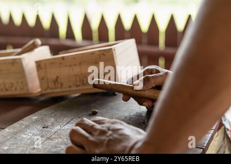 A craftsman with a meticulously rolled Cuban cigar, surrounded by wooden boxes, in the lush Vinales region of Cuba, demonstrating traditional cigar-ma Stock Photo