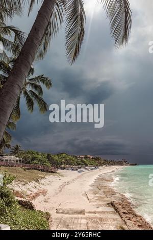 A dramatic sky looms over a tropical beach in Varadero, Cuba, with palm trees swaying above the sandy shoreline The contrasting dark clouds and sunlig Stock Photo