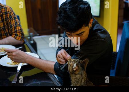 A young man with dark hair gently plays with a tabby cat while sitting at a dining table His partner, visible in the background, enjoys a meal The sce Stock Photo