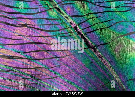 A close-up of a feather showcasing a spectrum of iridescent colors and intricate details, creating an abstract and vibrant textured background ideal f Stock Photo