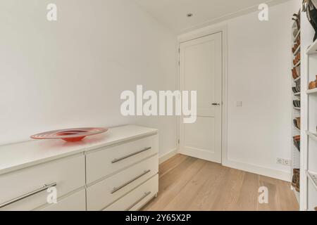 A contemporary room featuring a white cabinet, a decorative red bowl, wood flooring, and a neatly organized shoe rack Stock Photo
