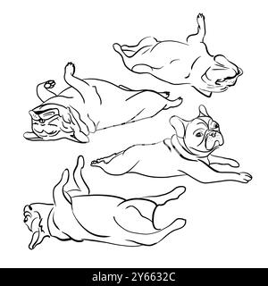 Set of four French bulldogs. Sketch illustration. Funny dogs lie on their backs. Black and white color. No background. Stock Photo