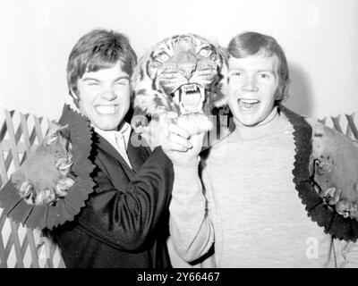 Two members of the pop group the ' Bee Gees' seen with a tiger's head in London. Colin Peterson, 19, ( R) is the drumer and Vince Melouney 22, is the guitarist.  London - 9th August 1967 Stock Photo