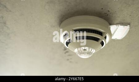 Fire alarm detector on the ceiling. Smoke sensor with copy space. Concept of fire safety with industrial grade fire alarm detector. Stock Photo