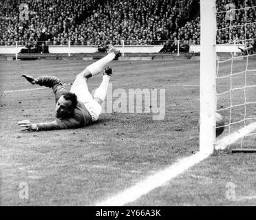 1966 FA Cup Final Everton v Sheffield Wednesday  Once again Sheffield Wednesday goalkeeper, Ron Springett is beaten to give Everton their second goal in the match. It's a shot from Mike Trebilcock, the Everton hero, who came into the team in the place of Pickering. He scored two goals. Temple scored a third.   14th May 1966 Stock Photo