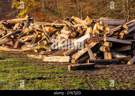 chopped firewood. sustainable energy concept. wood texture. outdoor scene of everyday rural life. ecological fuel background Stock Photo