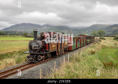 Ffestiniog Railway 'Double Fairlie' 0-4-4-0T No. 10 'Merddin Emrys' approaches Pont Croesor station on the Welsh Highland Railway Stock Photo