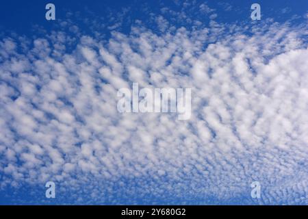 Mackerel sky, extensive cirrocumulus or altocumulus clouds Stock Photo