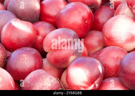 Close up on pile of fresh ripe white nectarines sale at farmers market.. View from above Stock Photo