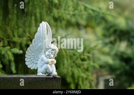 Small white angel statue placed on top of a gravestone in a cemetery. Spruce branches in the background. The image has empty space for text. Stock Photo