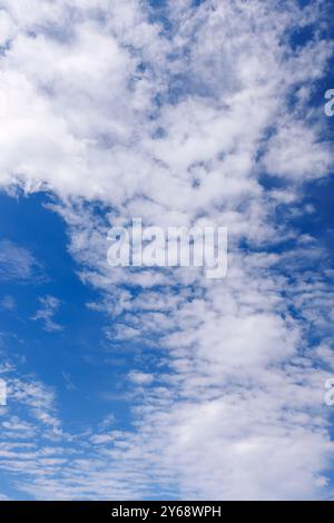 High-altitude white cirrocumulus clouds at blue sky, Finland Stock Photo
