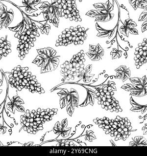 Seamless pattern with the image of grapes and vines. A graphic vector illustration drawn by hand. On a white background. For packaging and label desig Stock Vector