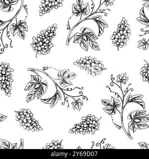Seamless pattern with the image of grapes and vines. A graphic vector illustration drawn by hand. On a white background. For packaging and label desig Stock Vector