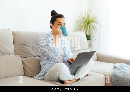 Remote work. Satisfied positive pretty indian or arabian brunette woman, sits on a couch at home in a living room drinking tea or coffee during a work, using laptop, searching information on internet Stock Photo